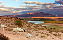 ExperienceFirst - Morocco4