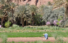 ExperienceFirst - Morocco6