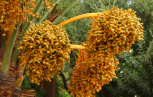 ExperienceFirst - Morocco9