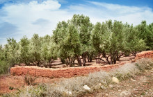 ExperienceFirst - Morocco12
