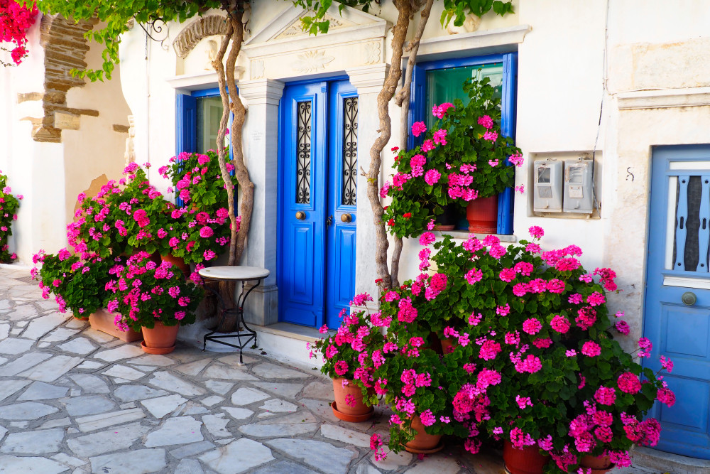 Wine Tasting Experience With a Greek Sommelier