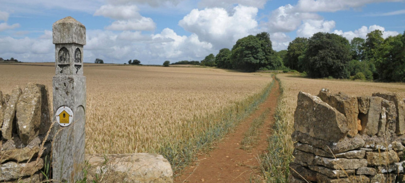 Cotswolds Hidden Countryside Walk with a Local Guide