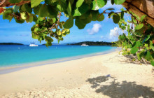 Cruz Bay Watersports1