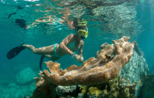 Cruz Bay Watersports4