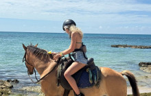 Island Cruises & Excursions1