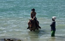 Island Cruises & Excursions5
