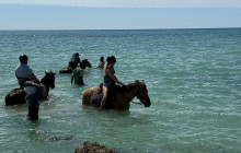 Island Cruises & Excursions8