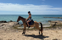 Island Cruises & Excursions19