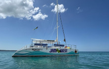 Island Cruises & Excursions29
