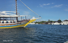Island Cruises & Excursions21