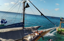 Island Cruises & Excursions10