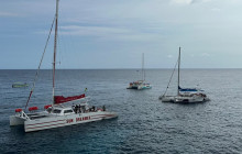 Island Cruises & Excursions10