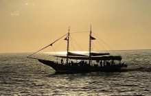 Island Cruises & Excursions31
