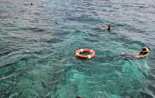 Island Cruises & Excursions40
