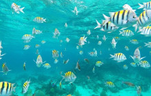 Island Cruises & Excursions15