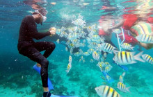 Island Cruises & Excursions25