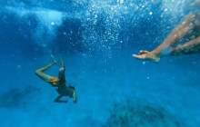 Island Cruises & Excursions10