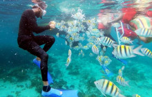 Island Cruises & Excursions6