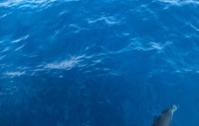 Island Cruises & Excursions20