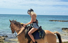 Island Cruises & Excursions1