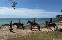 Island Cruises & Excursions6