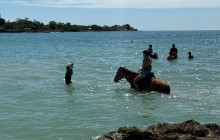 Island Cruises & Excursions15