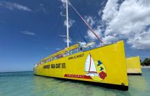 Island Cruises & Excursions30