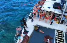 Island Cruises & Excursions35