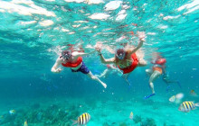 Island Cruises & Excursions4