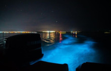 Island Cruises & Excursions6