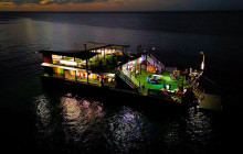Island Cruises & Excursions8