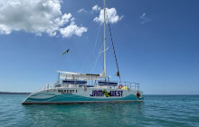 Island Cruises & Excursions11