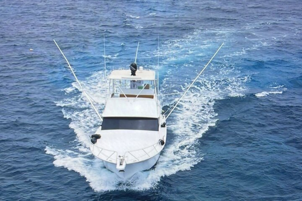 Private Yacht Cruise Montego Bay And Falmouth To Luminous Lagoon