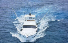 Island Cruises & Excursions1