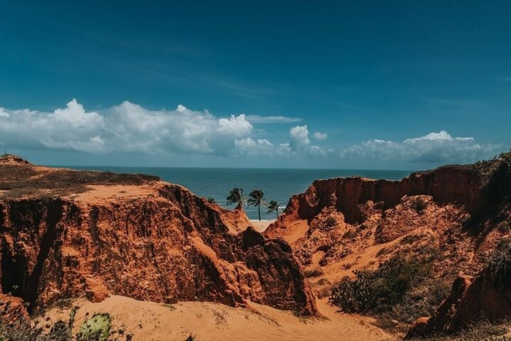 Full-Day East Coast Ceará Tour of 3 Iconic Beaches