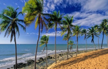 Sim7 Viagens e Turismo2