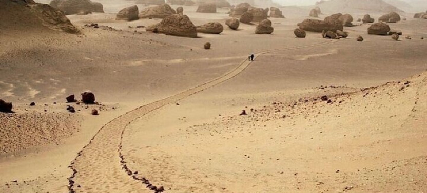 Private Fayoum Culture & Desert Adventure with Wadi Al Hitan and 4x4 Safari
