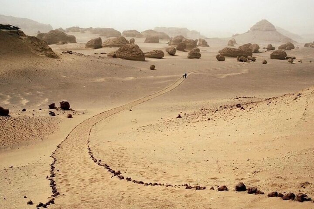 Private Fayoum Culture & Desert Adventure with Wadi Al Hitan and 4x4 Safari