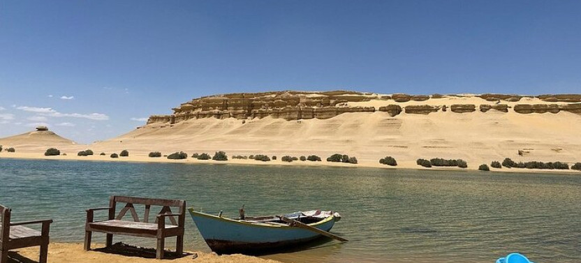 Private Fayoum Culture & Desert Adventure with Wadi Al Hitan and 4x4 Safari