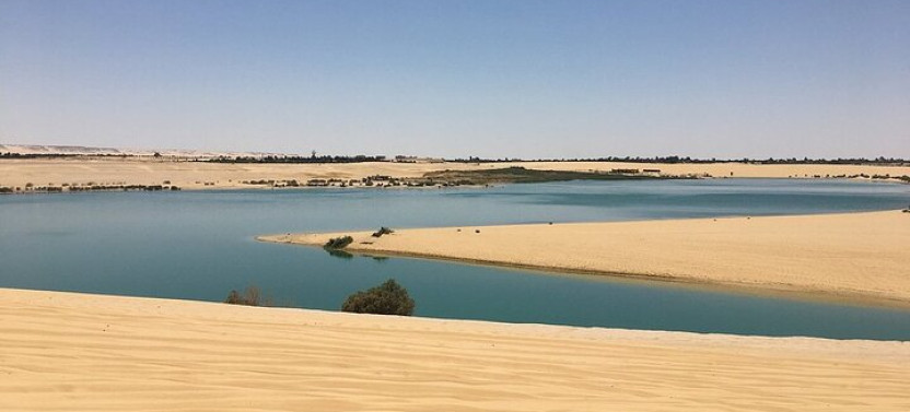 Private Fayoum Culture & Desert Adventure with Wadi Al Hitan and 4x4 Safari