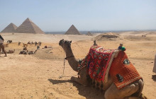 Gray Line Egypt4