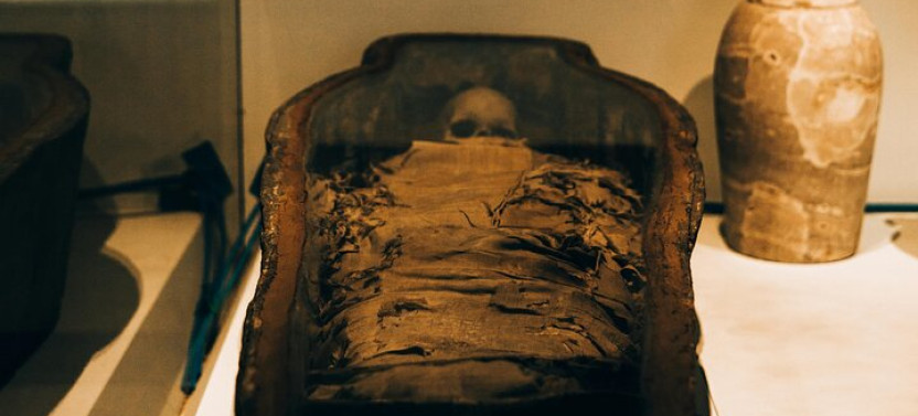 Private Egyptian Museum Tour with Egyptologist Guide and Transfers