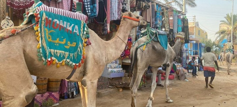 Discover Nubian Life Aswan Village Tour With Boat Ride