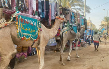 Gray Line Egypt2