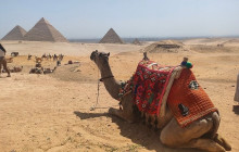 Gray Line Egypt3