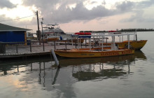 SNL Jamaican Tours Ltd21