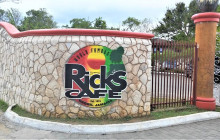 SNL Jamaican Tours Ltd31