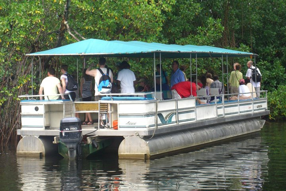 Private YS Falls & Black River Safari Tour from Negril