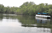 SNL Jamaican Tours Ltd7