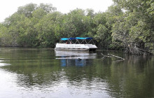 SNL Jamaican Tours Ltd13